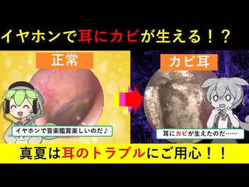 イヤホンが耳に与える健康リスクとは？【ずんだもん解説】