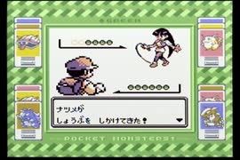 【ポケットモンスター緑】殿堂入りを目指して Part26【ヤマブキジム】