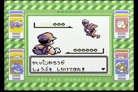 【ポケットモンスター緑】殿堂入りを目指して Part27【19番水道】