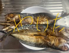 サバ　国産　北海道　塩焼き　グリル　料理　焼き