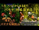 【スーパードンキーコング】1ステージでバナナ何本取れる？ part4【ルールあり ずんだもん実況】