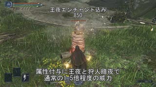 【エルデンリングナイトレイン 復讐者】物理消失呪爪