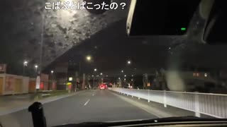 ぜんかちゃん「めじろうとカテゴリーは全然違うよ…出会い厨でイノセントだよ～とか言って女の子と出会ってパコパコしましたか？」
