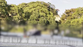 浮かぶ人影「いる。」～怖すぎる投稿映像13本～Vol.43