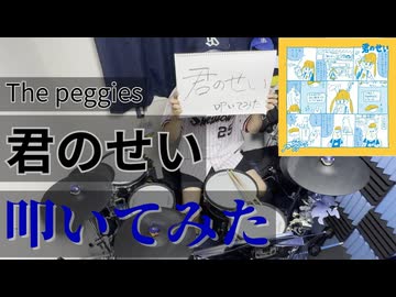 【叩いてみた】君のせい【The peggies】