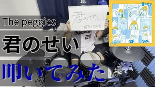 【叩いてみた】君のせい【The peggies】