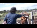 馬小屋に焼死体「いる。」～怖すぎる投稿映像13本～Vol.43