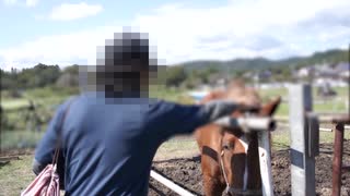 馬小屋に焼死体「いる。」～怖すぎる投稿映像13本～Vol.43