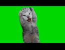 頭を抱える猫かわいい