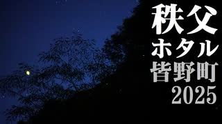 【2025】秩父ホタル　ゲンジボタル