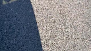 警察を呼んだほうがいいでしょうか？