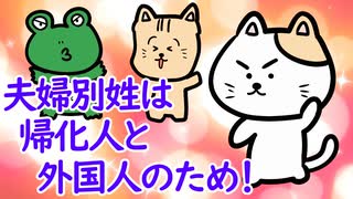 夫婦別姓は帰化人と外国人のため？