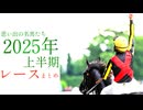 思い出の名馬たち『2025年 上半期』