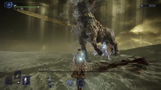 ELDEN RING NIGHTREIGN 常夜の王　強化フルゴール　復讐者ソロ　エルデンリングナイトレイン