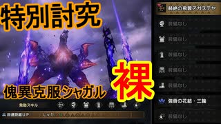 【MHR SB】特別討究 傀異克服シャガルマガラ 弓 裸ソロ 22’55'89