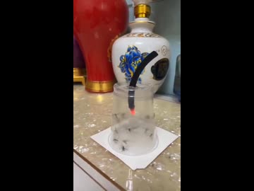 ホモと見る蚊取り線香を吸わされる蚊