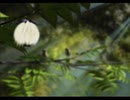 アークザラッド３実況：続々・はじめてのSRPGプレイ　part127