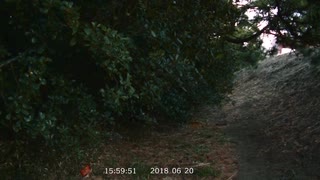 森の監視者「心霊アンノウン　投稿者不明の呪われた動画10本 3」