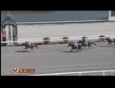 2025年6月29日高知競馬1R ２歳新馬 グリエールキック
