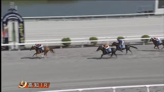 2025年6月29日高知競馬1R ２歳新馬 グリエールキック
