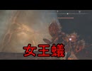 初見実況【ELDEN RING】貧弱主人公が王となる冒険　パート9