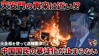 【総集編】中国国民も限界か？全土に広がるデモと暴徒特集【ゆっくり解説】