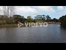 drone fly through the pinky balcony by the lake