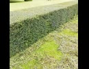 Watching videos like this is very therapeutic.