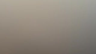 77295494584__0AB71259-231B-4516-9670-4C05F7838D8D