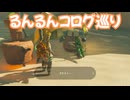ゼルダの伝説　ティアーズ オブ ザ キングダム　実況プレイおまけその11