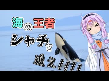 ゆかりとオホーツク旅『モノクローム・シレトコ』【VOICEROID旅行】