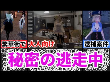[秘密のエクスポーズ]成長するゲーム[えちえち同人ゲーム紹介ずんだもん#159]