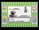 【ポケットモンスター緑】殿堂入りを目指して Part30【グレンジム】