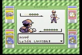 【ポケットモンスター緑】殿堂入りを目指して Part30【グレンジム】
