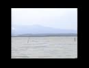 調子が悪い時といい時の違い　FPS