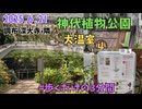 神代植物公園を歩いてみた④大温室内を歩くだけの3分間