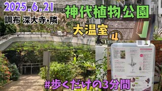 神代植物公園を歩いてみた④大温室内を歩くだけの3分間