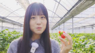 しおねるの鉄道幸せ美食旅 #3 樽見鉄道で楽しむホクホク美食旅