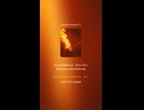 LOUDNESSあと20年ブルース N-42