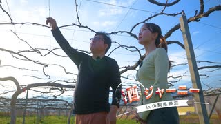 酒 ジャーニー ～鉄道で行く呑み旅～ #1 in 山梨県勝沼