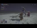 野良さん達と夜渡り／ELDEN RING NIGHTREIGN