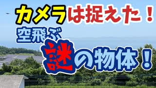 大分かぞく大満足旅行 2025/06/19~20