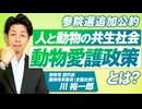 参議院選挙追加公約！参政党の動物愛護政策とは？川裕一郎【赤坂ニュース289】参政党 ※未公開シーン