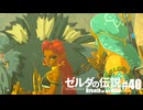 【ゆっくり実況】マスターモードで遊ぶブレワイ#40