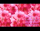【Vo:sheena】アブサーダム　Credo Quia Absurdum
