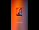 LOUDNESSあと20年ブルース N-100