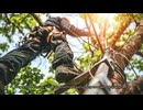 RTEC Treecare
