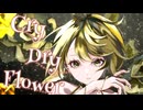 Cry Dry Flower / リナリア