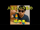 「積み木という名の人生」