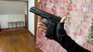 【エアガン】TT33